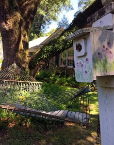 A garden hammock and echinacea design bird house