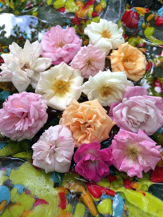 Roses in art glass bird bath