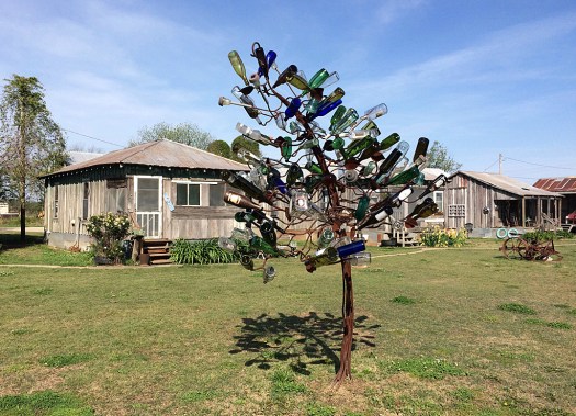 Bottle tree with colourful bottles with shacks