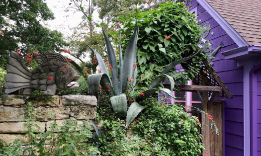 Fish and a cactus at the entrance to a purple house
