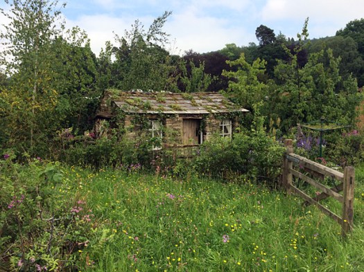 Cottage in a naturalistic garden of trees and wild flowers