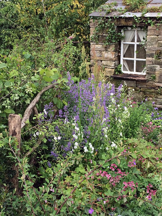 Curved wooden fence edges a cottage garden