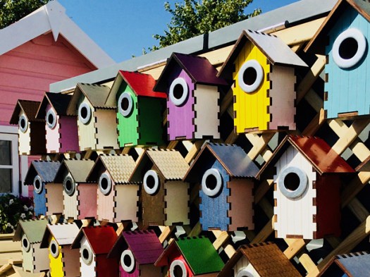 Rows of colourful bird houses