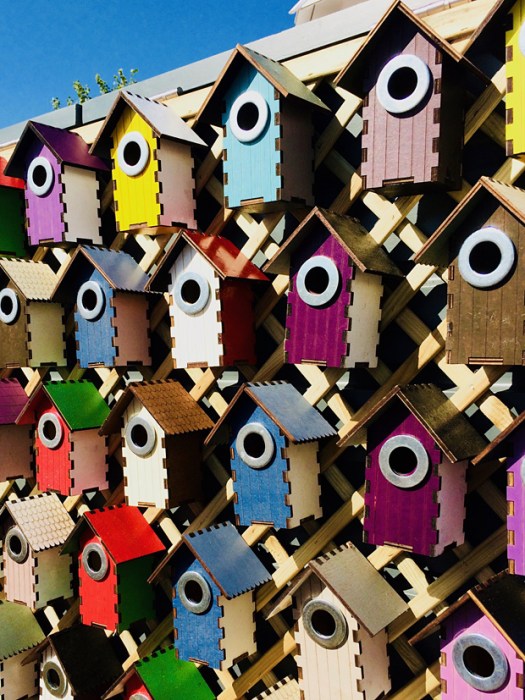 Display of bird houses stained in bright colours