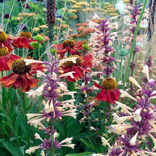 Flower combination F