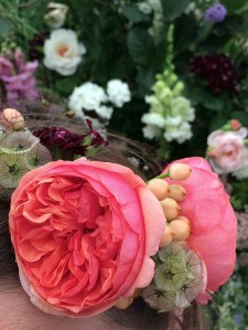 Rose, berries and seed heads