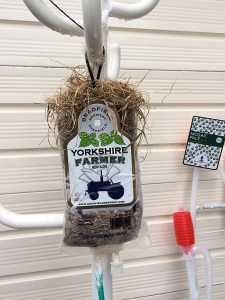 Beer label on blood infusion bag