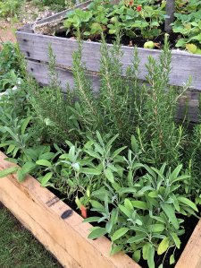Wooden boxes, stacked to form a raised bed
