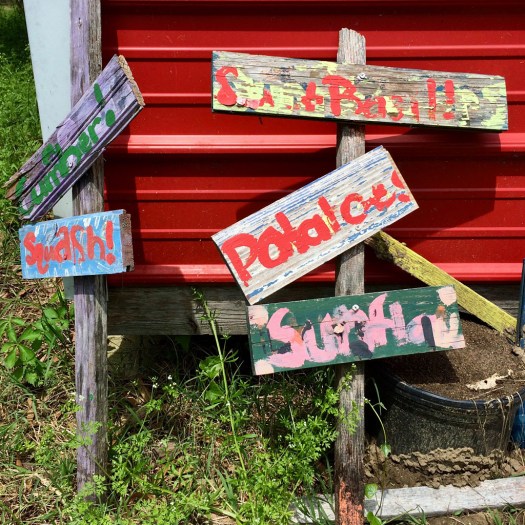 Wooden signs with faded names of vegetables and herbs