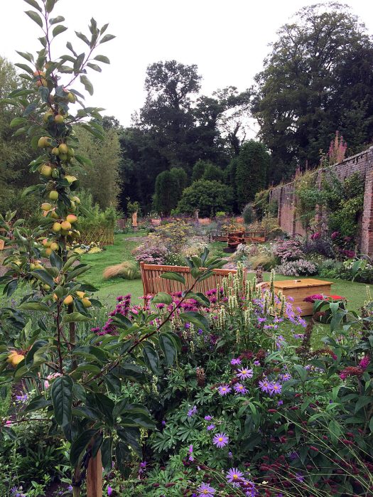 Long slender apple tree in a sensory garden