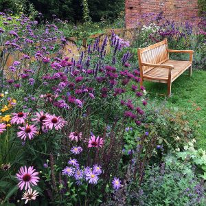 A bench in an abundant flower garden