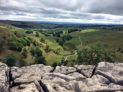 Fields, trees and a footpath leading to a village viewed from a cliff