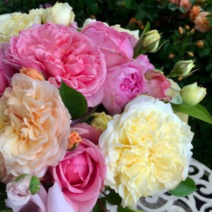 Posy of yellow, apricot and peach garden roses