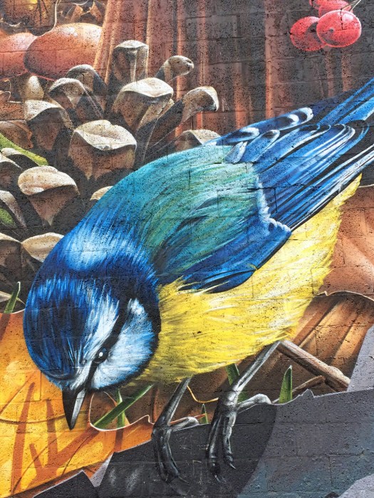 Painting of blue with blue back and yellow belly