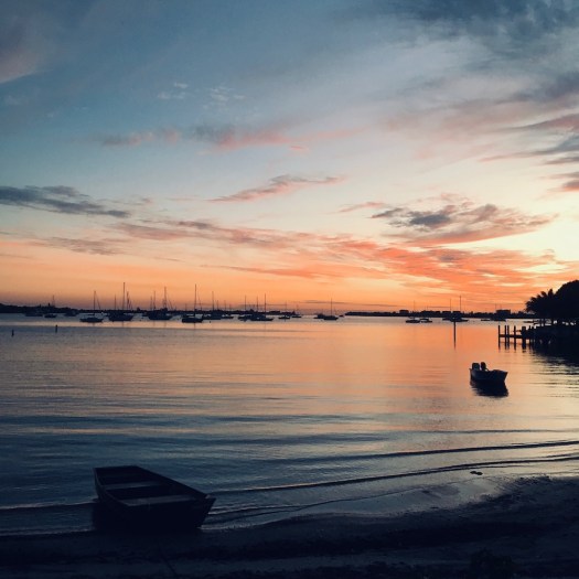 Sarasota bay at sunset with sailing boats