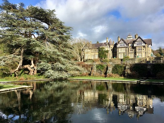 Bodnant House dwarfed by a large cedar tree
