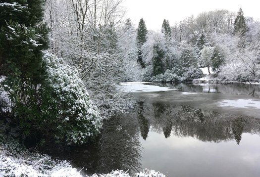 View of a frosted lake surrounded by snow covered trees