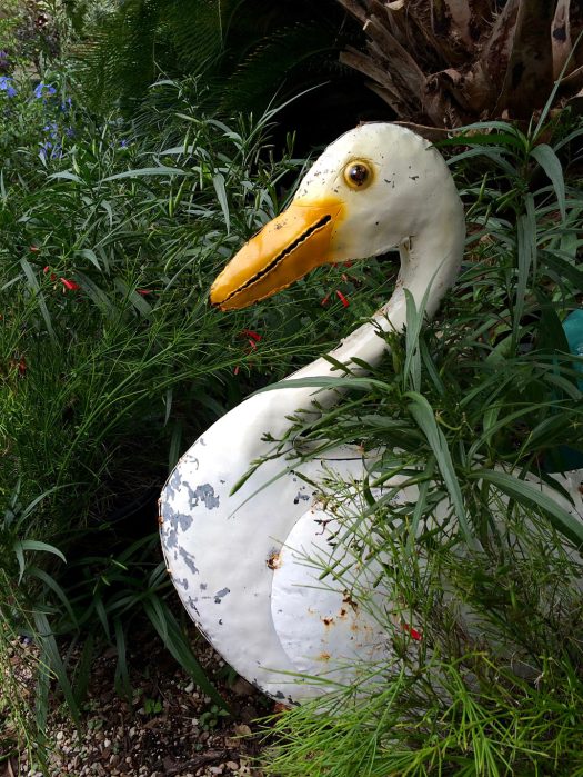 Metal bird peeks out between plants