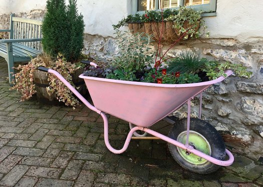 Pink wheelbarrow used as a flower planter