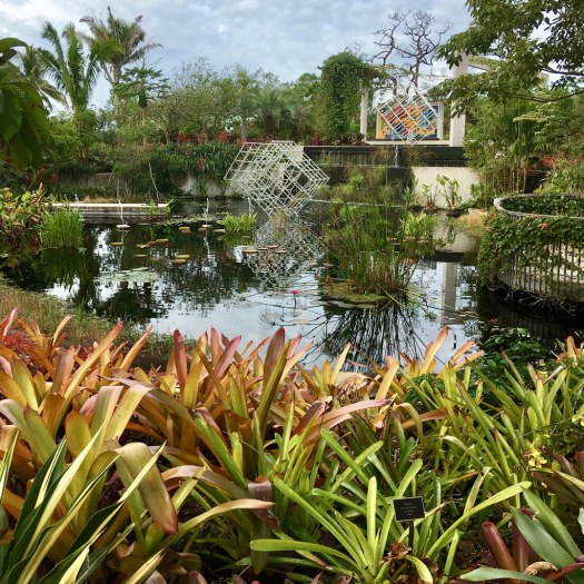 Spiky foliage surrounds a pool containing a cube shaped sculpture