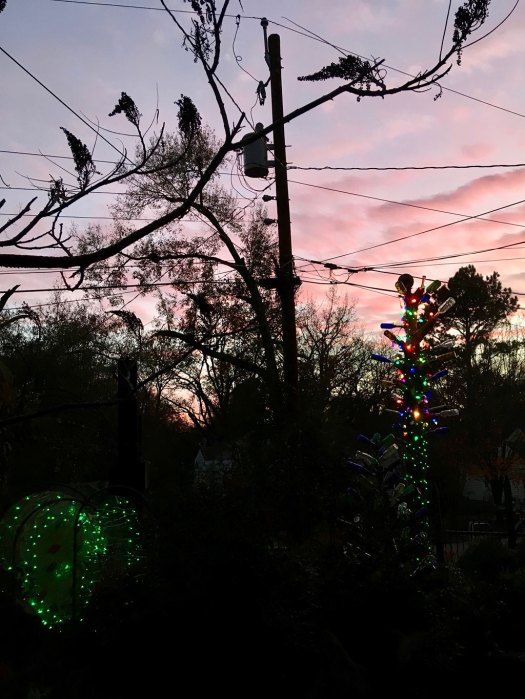 Power lines with tree branches silhouetted against the sky