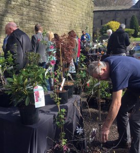 Visitors browse for plants at the Houghton Tower plant fair