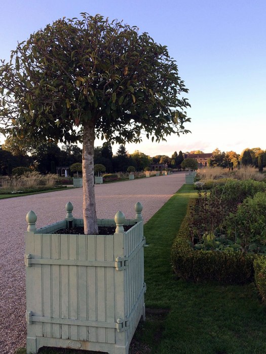 Decorative wooden planter with finials containing a small tree