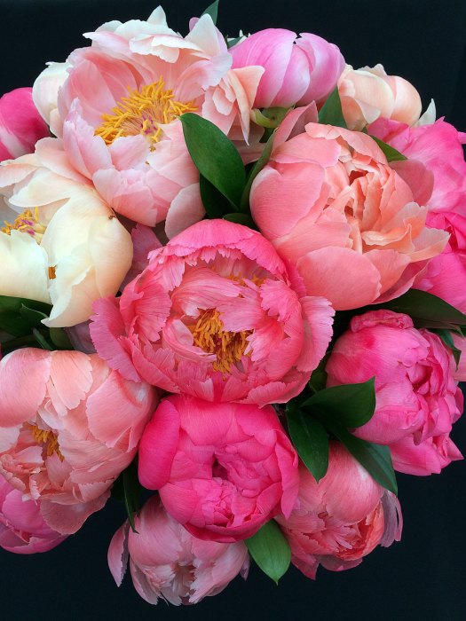 A large flower bouquet made from 'Coral Sunset' peonies