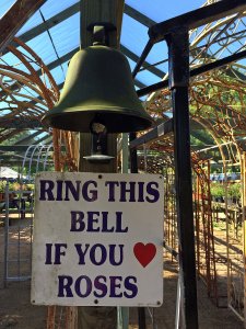 Sign: Ring this bell if you love roses