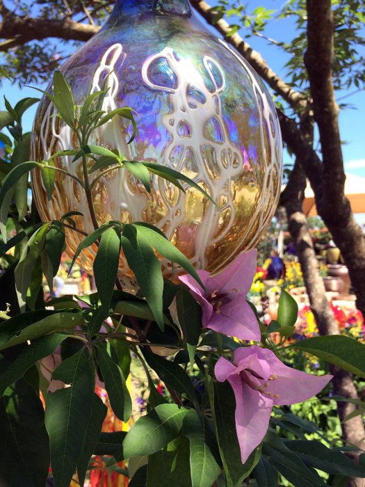 Glass orb hanging from a tree