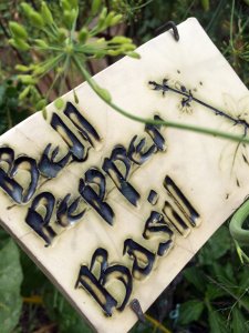 Plant label for bell pepper and basil