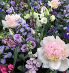 Peonies, lisianthus, asters, irises, stocks