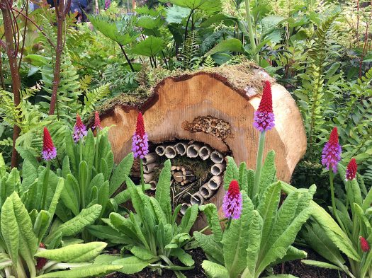 Insect hotel with primula vialii at RHS Chatsworth Flower Show