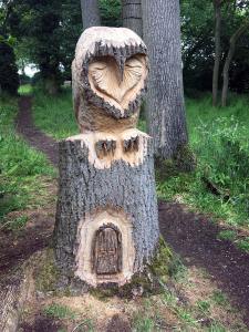 Owl carved in a tree by Angel Maltby
