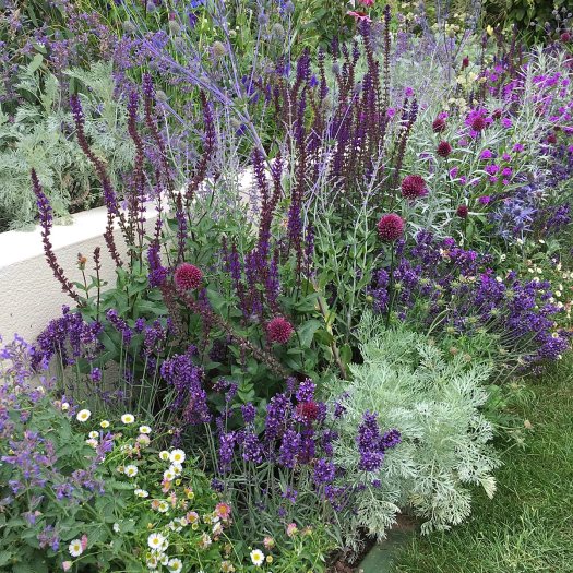 Flowers in the 1 in 10 Garden at Tatton Park Flower Show
