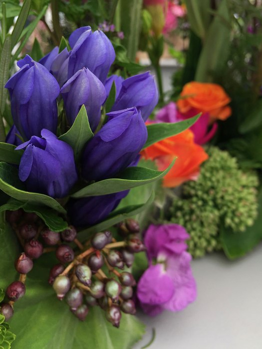 Gentiana Blue in a floral arrangement