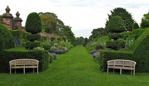 Arley Hall's wide double borders have a topiary structure