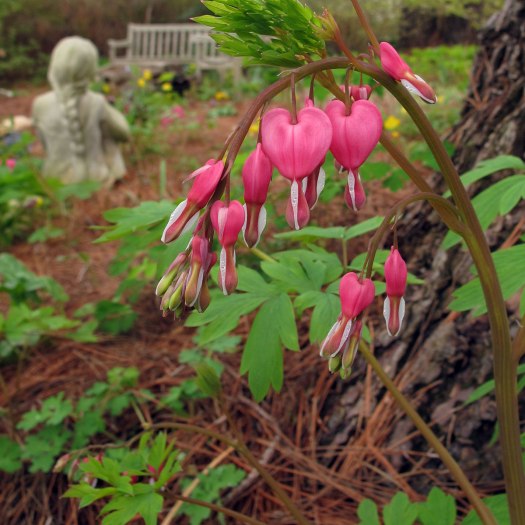 Arching dicentra with sculpture of a girl with a plait