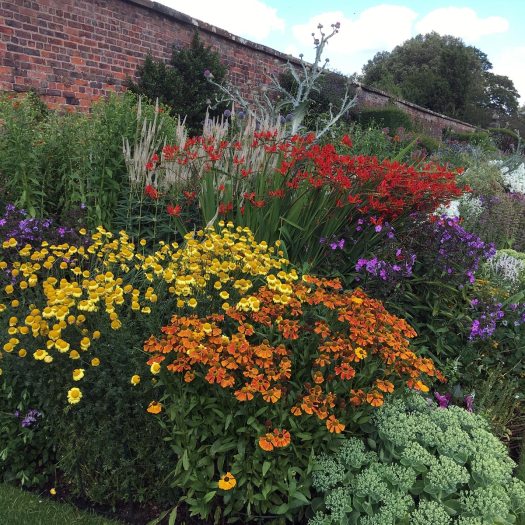 Helenium, phlox, crocosmia and sedum in Arley Hall's herbaceous border