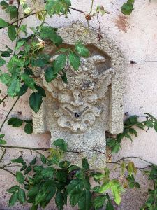 Faun wall fountain with a tangle of rose foliage