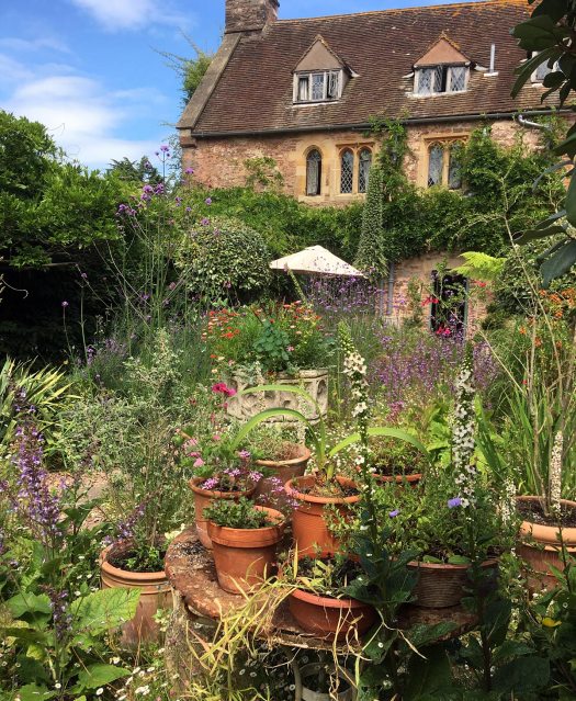 Table of potted plants in Cothay Manor's courtyard garden