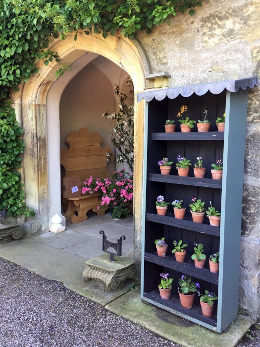 Gresgarth's entryway with auricula theatre