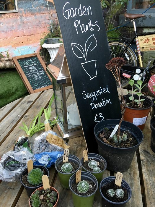 Garden Plants - Suggested donation £3