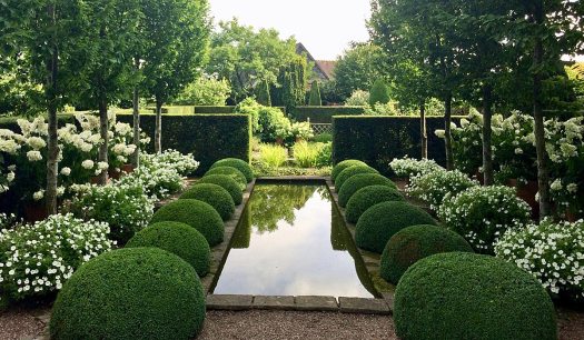 Wollerton's canal garden with topiary, annuals and hydrangeas