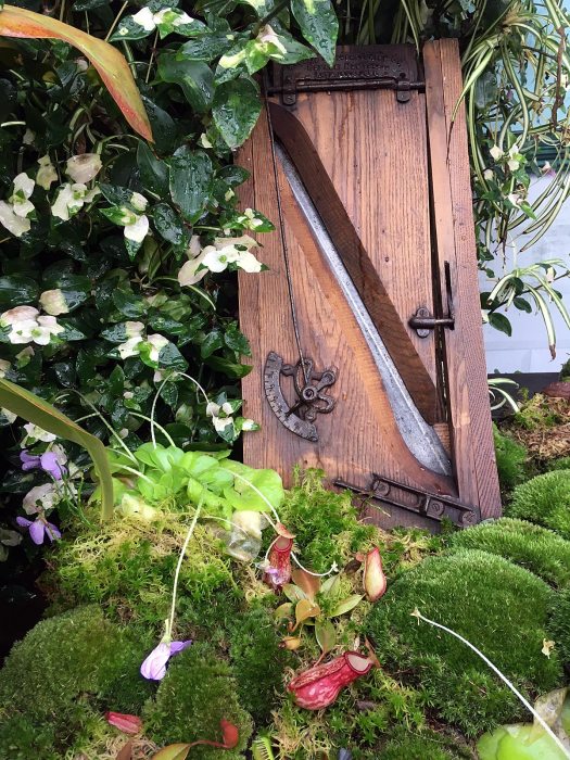 Wooden board in the kitchen with moss and plants