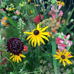 British-grown flowers by Petal & Twig