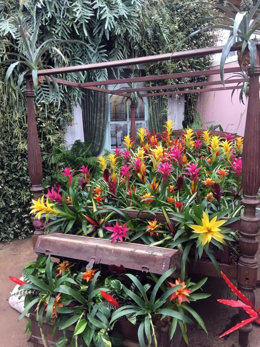 Four-poster bed with colourful flowering bromeliads