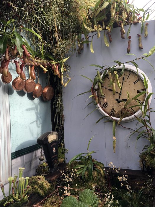 Copper pans, antique scales and clock with houseplants