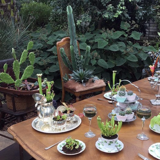 Dining table and chairs at the Giant Houseplant Takeover
