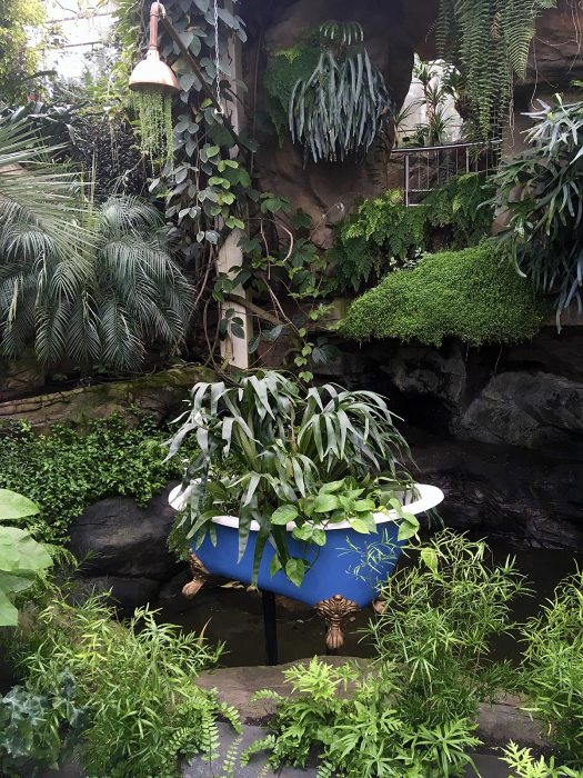 Bath and shower in a tall room hung with plants